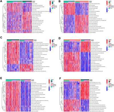 Wnt signaling pathway-derived score for predicting therapeutic resistance and tumor microenvironment in lung adenocarcinoma